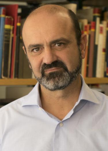 Portrait von Prof. Dr. Diamantis Panagiotopoulos